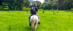 horseback riding in flat land