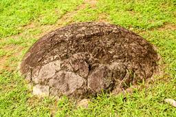 extra sierpe finca 6 sphere park 48