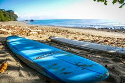 pollo surfing costa rica 237