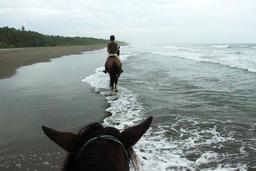 jungle beach horseback tour in line