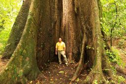 golf lesson las iguanas seba tree 7