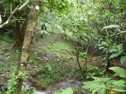 building parcel in alajuela city view 005