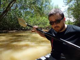 manglar isla mangrove kayak looking fly 2