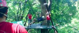 tarzan swing canopy mal pais