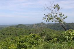 top of miss sky property view7