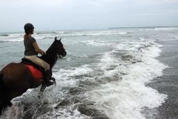 jungle beach horseback tour in waves 7