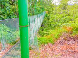 suspension bridge corcovado canopy tour 2