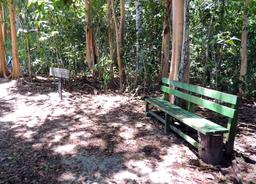 A park bench on the trail beside Espadilla Sur Beach on June 30, 2013. Bathrooms, drinking fountains, trash cans and benches are available throughout the park. 
