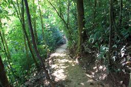 A view along one of the hiking trails that wind in between cables on April 17, 2013.