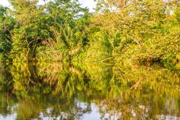 sunset reflexions on the canal