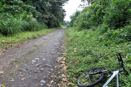 arenal mountain bike 3