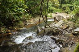 bamboo forest moutain bike tour river 8