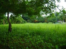 building parcel in alajuela city view 002