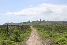 guiones path horseback5