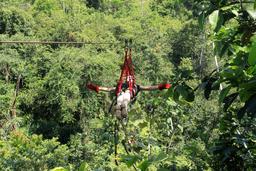 jungle adventure superman 4