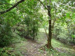 building parcel in alajuela city view 006