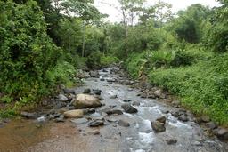 bamboo forest moutain bike tour stream 4