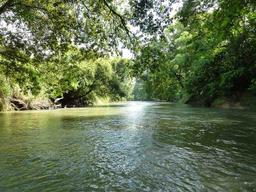 Water flows through the Peñas Blancas, named after the White Cliffs it passes by, on March 11, 2013. The river is a natural wildlife corridor protected by the Costa Rican government.