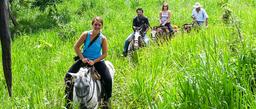 horseback riders going up a hill