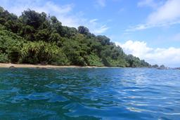 dominical surf dive snorkel cano closeup 5