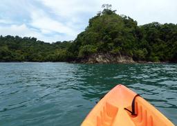 iguana catamaran tour kayaking 5
