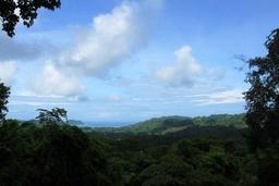 los suenos canopy view 4