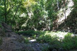 rocks walking toward montezuma waterfall