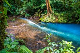 tenidero place where fresh water turns blue