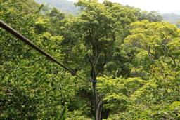 chiclets canopy tour 12thcable 5