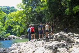 pond with a swing above montezuma waterfall