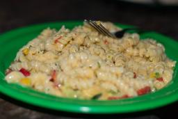 freezed dried pasta dinner