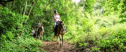discovery horseback tour rainforest 1