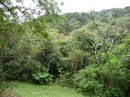 building parcel in alajuela city view 008