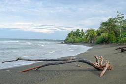 beach at sirena ranger station