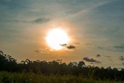 chocuaco waterfalls sierpe 98