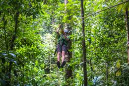man zip lining osa palmas canopy tour