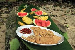 caribbean adventure snorkeling dolphin watching lunch 5