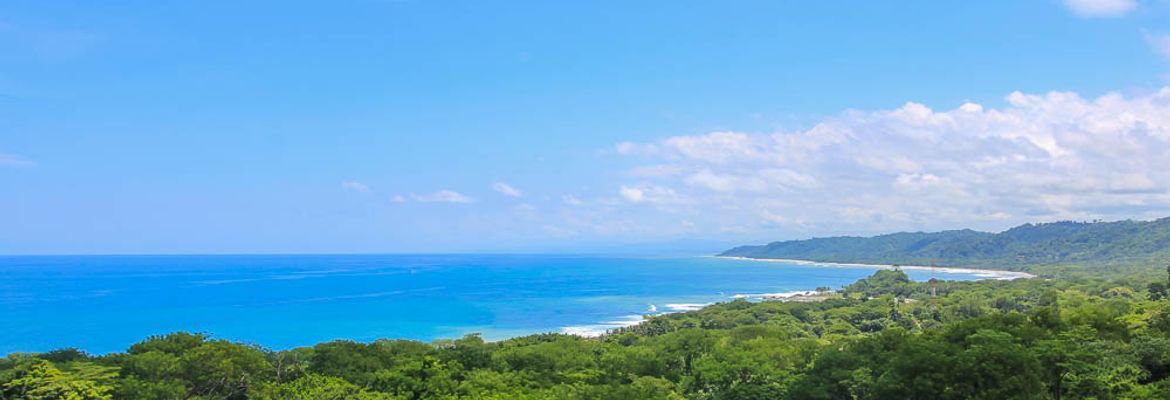 mal pais santa teresa coastline view from canopy malpais
