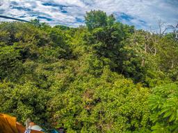 forest view on a zipline at the white river canyon zip line rincon de la vieja
