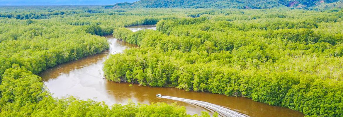 sierpe wetlands aerial views 25