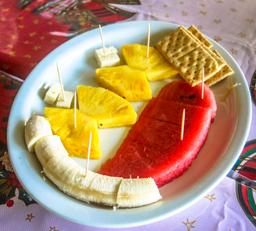 fruit snack osa palmas canopy tour