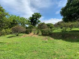 adjacent lots available in up in the hills of heredia buy one or all view 006