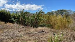 70 apartment low income family development in heredia view 004