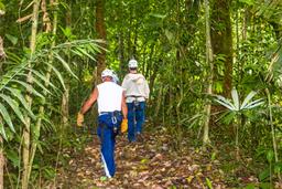 hiking to the next cable osa palmas canopy tour