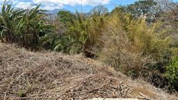 70 apartment low income family development in heredia view 008