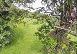 people walking on a tree platform blue river zipline