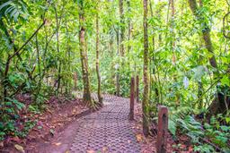 buried cement block trail arenal hanging bridges mistico park