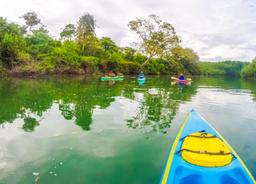 on the canal kayaking platanares mangroves in puerto jimenez