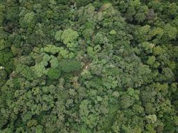 agricultural land for sale one hour away from liberia airport view 005