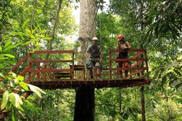 flight of the toucan tree climb combo tour platform 2